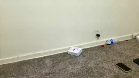 Demon danni online show from December 7, 8:27 am