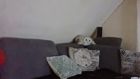 Denise and Brad online show from March 29, 5:25 pm