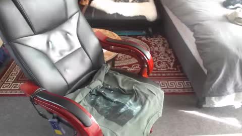 dennisblackmagic6 online show from September 14, 1:12 pm