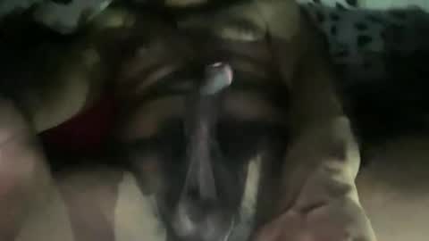 denverjj199 online show from January 18, 10:06 pm