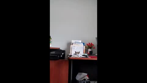 Dickforfun300 online show from February 24, 8:01 pm