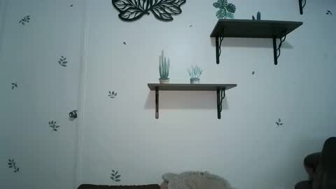 dickslayerdan online show from January 25, 8:21 pm