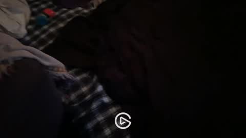 Digital Dust online show from December 4, 11:35 am