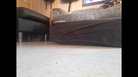 dildosnme22 online show from February 19, 7:48 pm