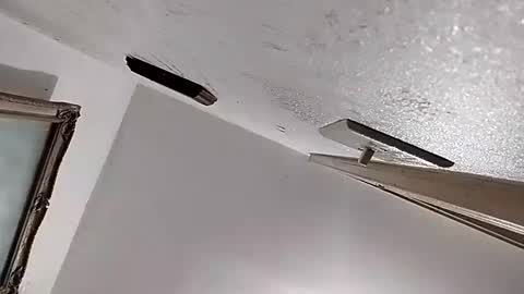 dixonbird41 online show from February 11, 2:46 am