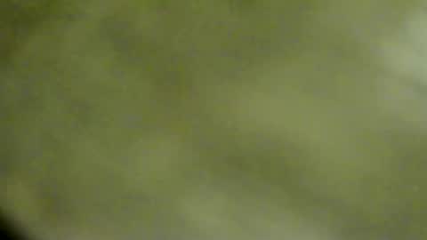 Doby online show from February 24, 12:02 am