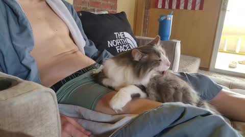 dommepleasemistress online show from March 22, 5:06 pm