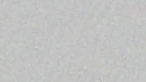 menu  below online show from April 12, 8:18 am