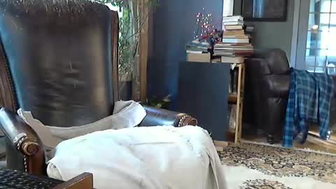 dr0mntwin online show from November 2, 3:01 pm