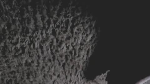 Dr G online show from February 25, 12:38 pm