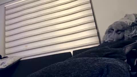 drippinggenie online show from December 26, 5:08 pm