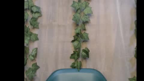 linda online show from November 7, 12:36 am