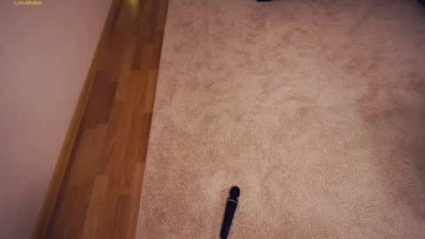 Polly day and Amelia night online show from March 7, 9:29 am