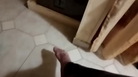 dthedog12 online show from November 8, 10:35 pm