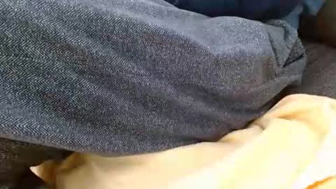 dunany101 online show from March 24, 6:14 pm