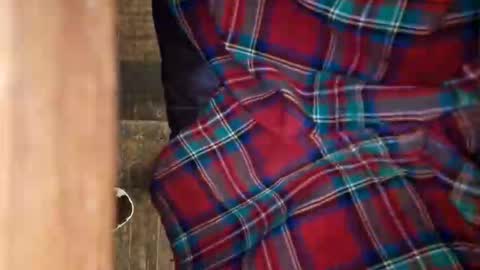 dVe1oPe online show from April 11, 10:19 am