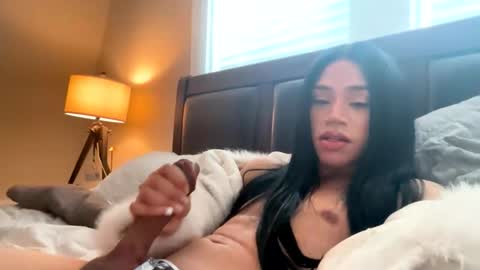 Dynasty online show from November 6, 6:22 pm