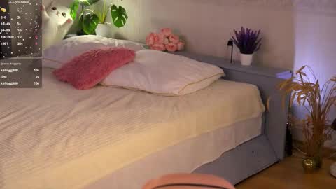 Eva online show from March 7, 3:45 pm