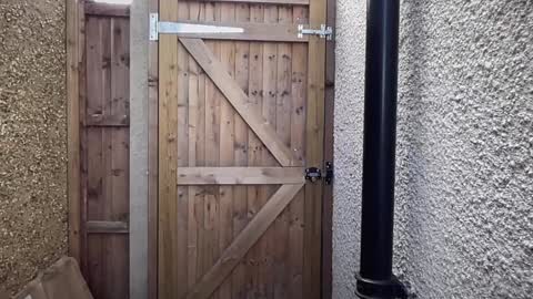 Nadia Ferreira  online show from September 23, 12:10 pm