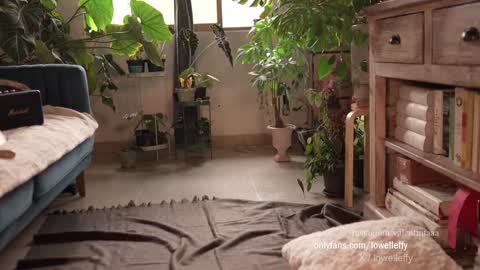 Effy online show from January 11, 10:07 pm