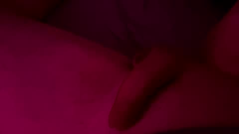 elariba online show from November 28, 11:45 pm