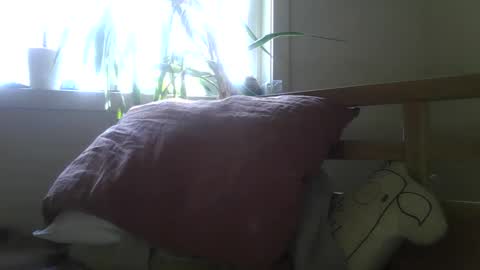 fox online show from January 20, 9:11 pm