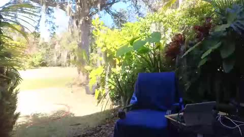 eliberator online show from February 9, 7:52 pm