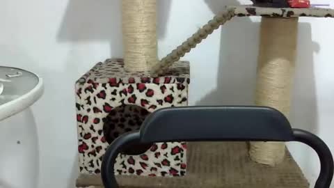 Snapshot of elizabeth_martinez_ chatting on October 1, 3:11 pm Elizabeth Martinez online show from October 1, 3:11 pm