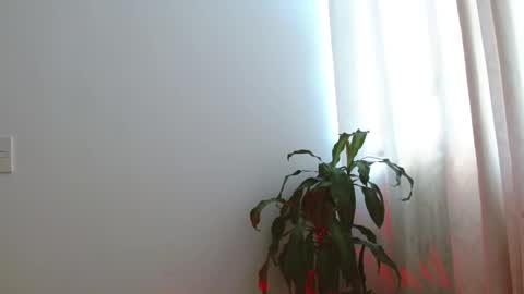 Natalia online show from May 26, 2:01 pm