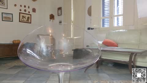 Emily ----  online show from December 2, 8:58 am