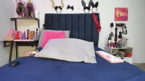          online show from November 13, 1:47 pm