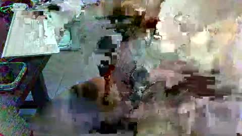 emplmssexy online show from April 2, 3:03 am