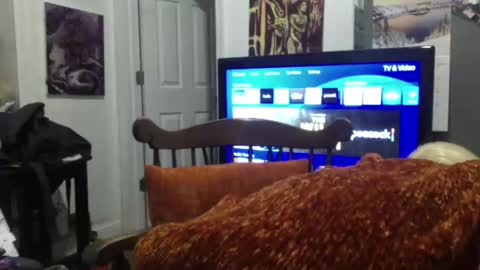 empusalamia online show from January 25, 9:57 am