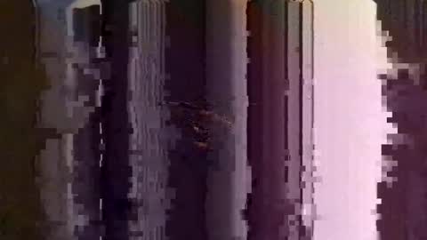 DaveHarris online show from October 19, 11:04 am