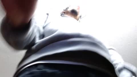 erick online show from February 22, 3:01 am