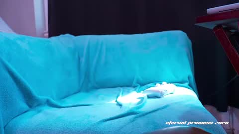 Eternal Princess Zora online show from April 11, 7:51 pm