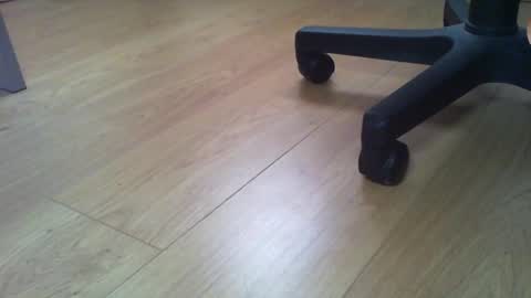 Elise online show from October 21, 1:27 pm