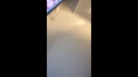 eyelyke2kream online show from September 8, 7:13 pm