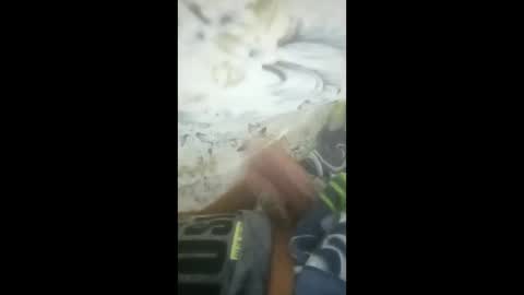 eypqrpyisagh online show from March 25, 8:26 pm