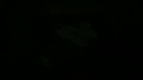 FABX online show from October 18, 1:21 am