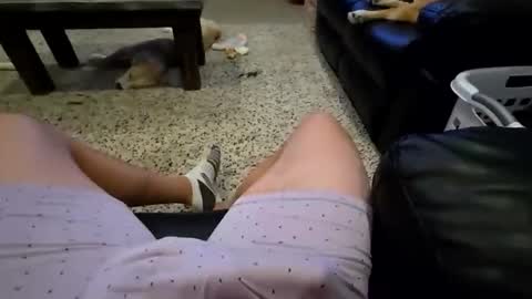 faker1414 online show from February 2, 2:09 am