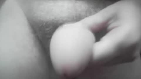 fapipa online show from March 2, 12:23 pm