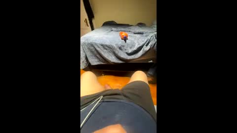 fatz71056 online show from November 22, 5:17 am