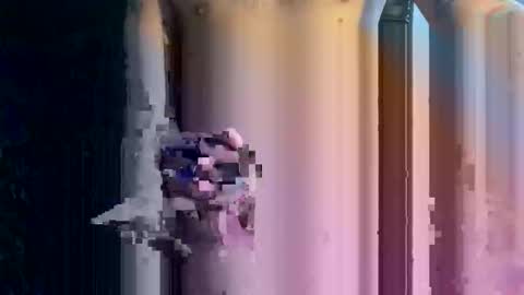 favdealer online show from January 13, 3:42 pm