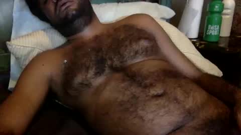 HairyBrownGuy online show from February 23, 2:08 pm