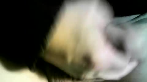 felicaste online show from February 9, 3:01 pm