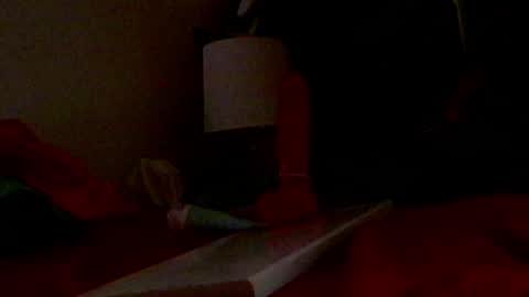 Snapshot of felicitybliss29 chatting on September 21, 8:07 am felicitybliss29 online show from September 21, 8:07 am