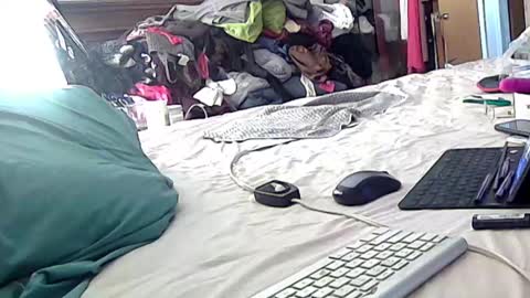 Snapshot of felicitybliss29 chatting on October 2, 9:30 am felicitybliss29 online show from October 2, 9:30 am