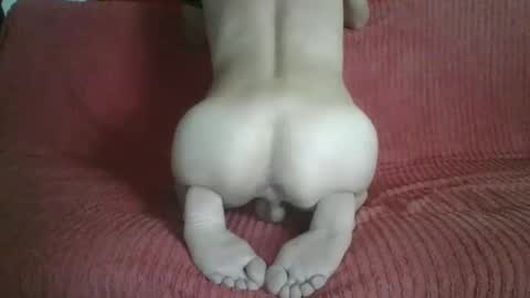 femboyhot28 online show from November 20, 9:30 am