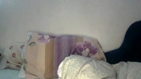 fenabags online show from February 14, 4:04 am